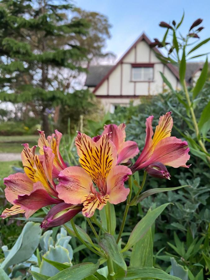 Swan Cove Beachfront Raymond Island Bagian luar foto
